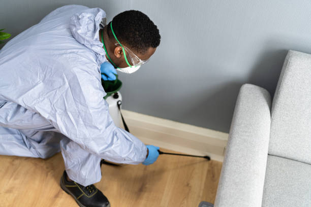 Professional Pest Control in West Blocton, AL